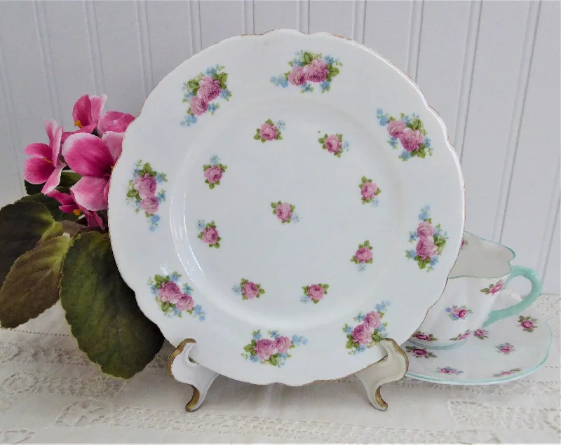 Shelley Salad Plate Dessert Roses Forget-Me-Nots Gainsborough 7 Inches In Diameter